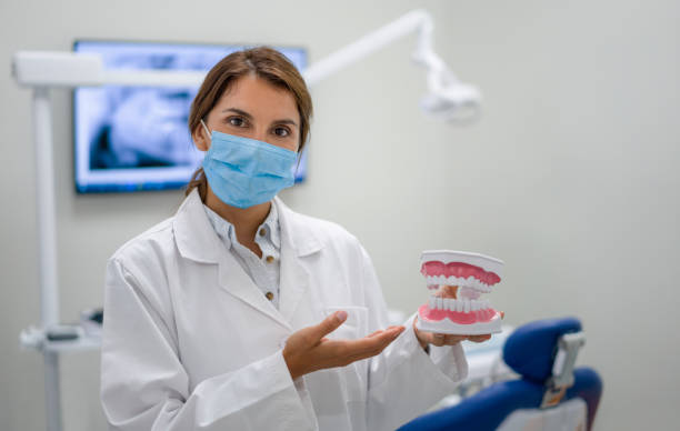 Professional Emergency Dentist in Thonotosassa, FL